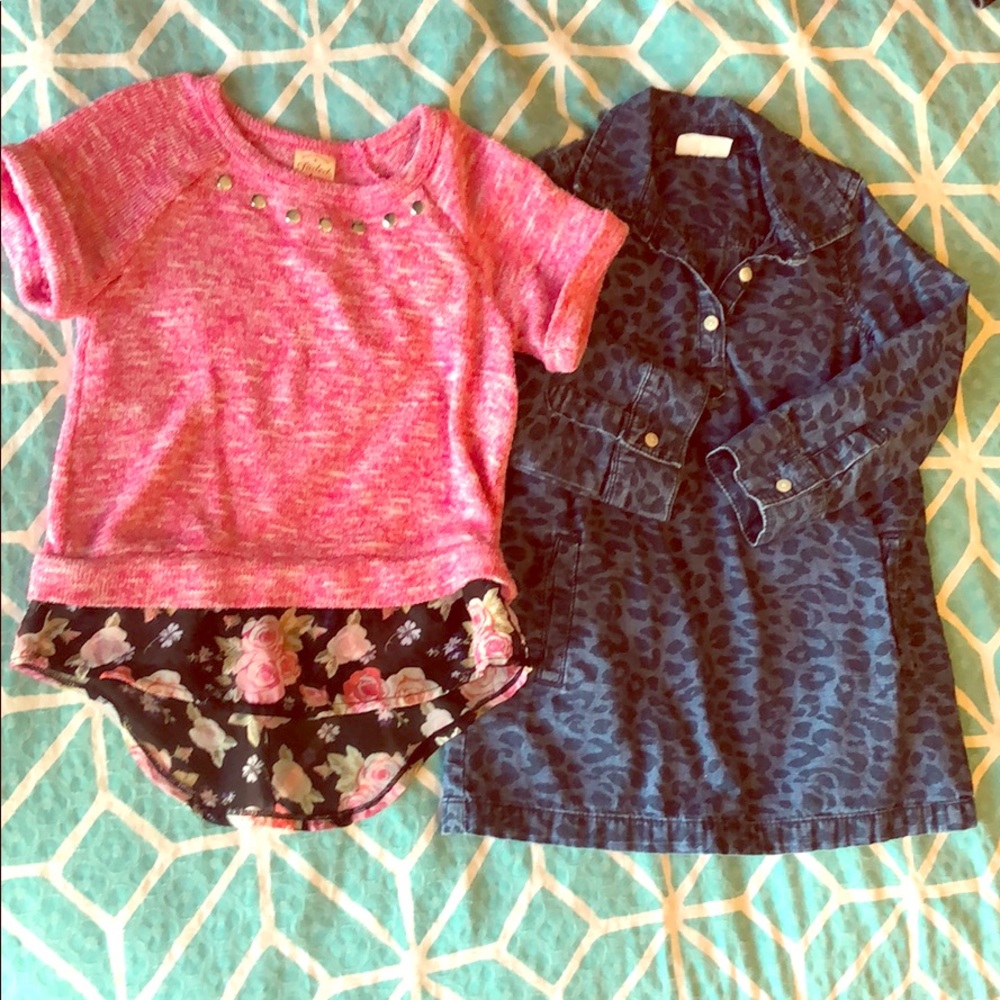 Denim cheetah‎ print dress & Faded Glory tunic